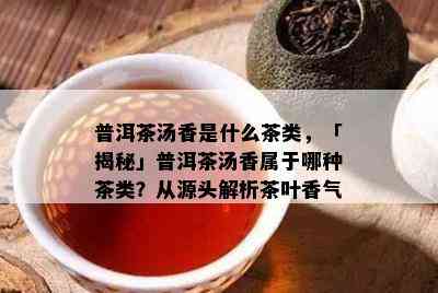 普洱茶汤香是什么茶类，「揭秘」普洱茶汤香属于哪种茶类？从源头解析茶叶香气