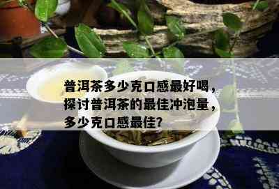 普洱茶多少克口感更好喝，探讨普洱茶的更佳冲泡量，多少克口感更佳？