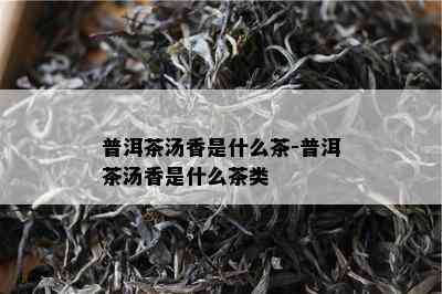 普洱茶汤香是什么茶-普洱茶汤香是什么茶类