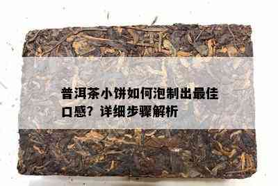 普洱茶小饼如何泡制出更佳口感？详细步骤解析