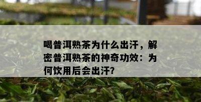 喝普洱熟茶为什么出汗，解密普洱熟茶的神奇功效：为何饮用后会出汗？