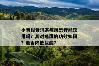 小青柑普洱茶痛风患者能饮用吗？其对痛风的功效如何？能否降低尿酸？