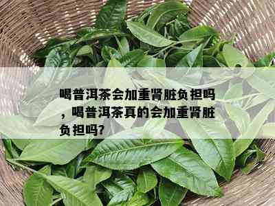 喝普洱茶会加重肾脏负担吗，喝普洱茶真的会加重肾脏负担吗？