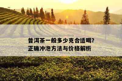 普洱茶一般多少克合适喝？正确冲泡方法与价格解析