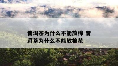 普洱茶为什么不能放棉-普洱茶为什么不能放棉花