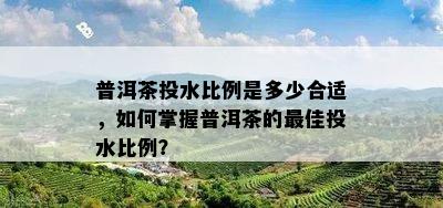 普洱茶投水比例是多少合适，如何掌握普洱茶的更佳投水比例？