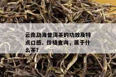 云南勐海普洱茶的功效及特点口感、价格查询，属于什么茶？