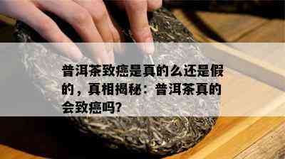 普洱茶致癌是真的么还是假的，真相揭秘：普洱茶真的会致癌吗？