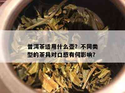 普洱茶适用什么壶？不同类型的茶具对口感有何影响？