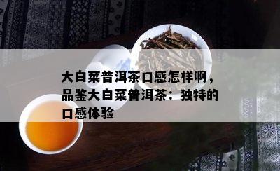 大白菜普洱茶口感怎样啊，品鉴大白菜普洱茶：独特的口感体验