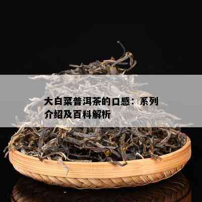 大白菜普洱茶的口感：系列介绍及百科解析