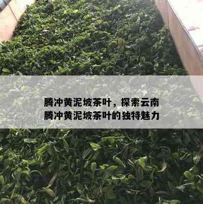 腾冲黄泥坡茶叶，探索云南腾冲黄泥坡茶叶的独特魅力