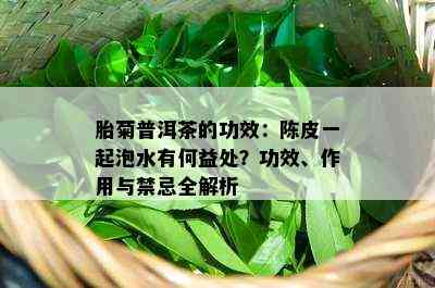 胎菊普洱茶的功效：陈皮一起泡水有何益处？功效、作用与禁忌全解析