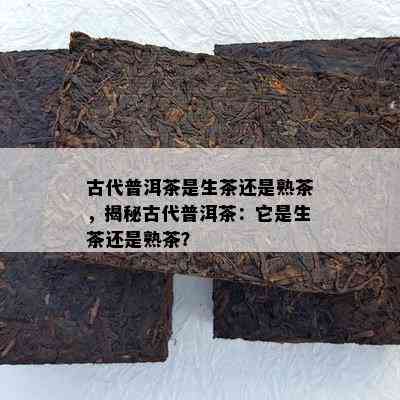 古代普洱茶是生茶还是熟茶，揭秘古代普洱茶：它是生茶还是熟茶？