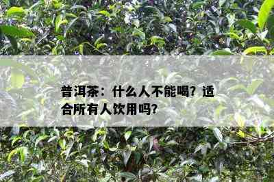 普洱茶：什么人不能喝？适合所有人饮用吗？