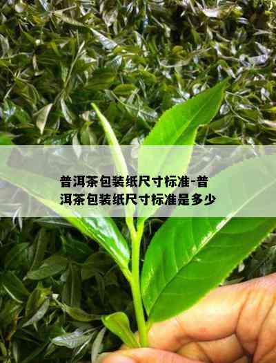 普洱茶包装纸尺寸标准-普洱茶包装纸尺寸标准是多少