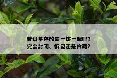 普洱茶存放需一饼一罐吗？完全封闭、拆包还是冷藏？