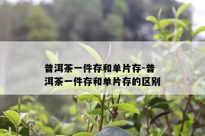 普洱茶一件存和单片存-普洱茶一件存和单片存的区别