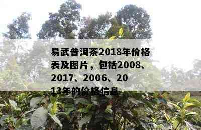 易武普洱茶2018年价格表及图片，包括2008、2017、2006、2013年的价格信息