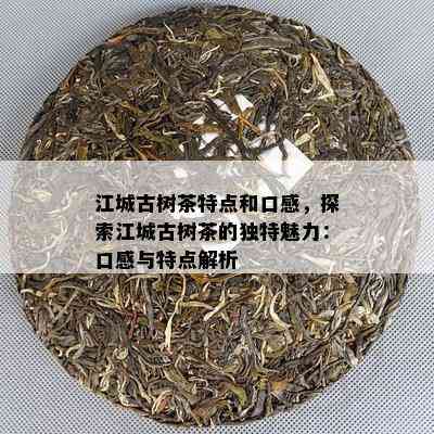 江城古树茶特点和口感，探索江城古树茶的独特魅力：口感与特点解析