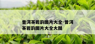 普洱茶岩韵图片大全-普洱茶岩韵图片大全大图