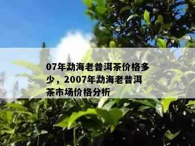 07年勐海老普洱茶价格多少，2007年勐海老普洱茶市场价格分析