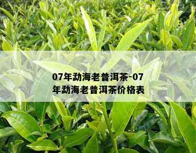 07年勐海老普洱茶-07年勐海老普洱茶价格表