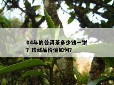 04年的普洱茶多少钱一饼？珍藏品价值如何？