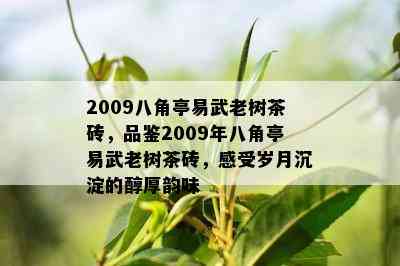 2009八角亭易武老树茶砖，品鉴2009年八角亭易武老树茶砖，感受岁月沉淀的醇厚韵味