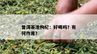 普洱茶泡枸杞：好喝吗？有何作用？