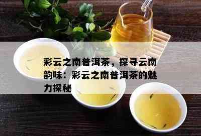 彩云之南普洱茶，探寻云南韵味：彩云之南普洱茶的魅力探秘