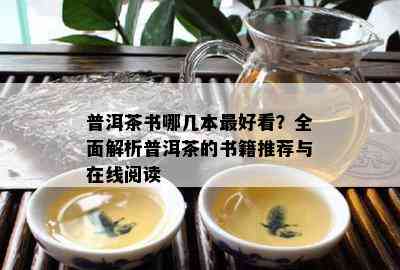 普洱茶书哪几本更好看？全面解析普洱茶的书籍推荐与在线阅读