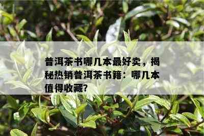 普洱茶书哪几本更好卖，揭秘热销普洱茶书籍：哪几本值得收藏？