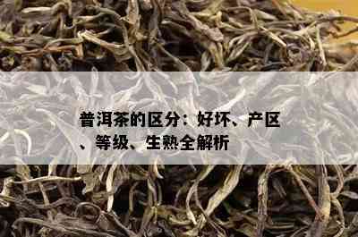 普洱茶的区分：好坏、产区、等级、生熟全解析