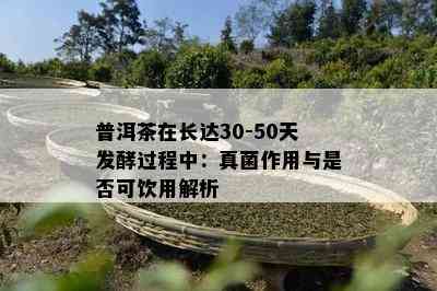 普洱茶在长达30-50天发酵过程中：真菌作用与是否可饮用解析