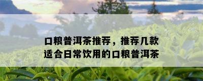 口粮普洱茶推荐，推荐几款适合日常饮用的口粮普洱茶