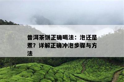 普洱茶饼正确喝法：泡还是煮？详解正确冲泡步骤与方法