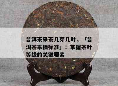 普洱茶采茶几芽几叶，「普洱茶采摘标准」：掌握茶叶等级的关键要素