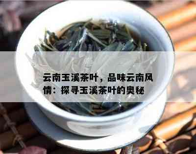 云南玉溪茶叶，品味云南风情：探寻玉溪茶叶的奥秘