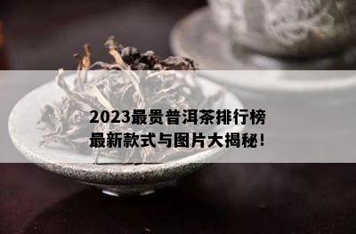 2023最贵普洱茶排行榜最新款式与图片大揭秘！