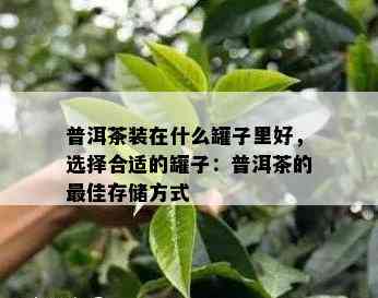 普洱茶装在什么罐子里好，选择合适的罐子：普洱茶的更佳存储方式