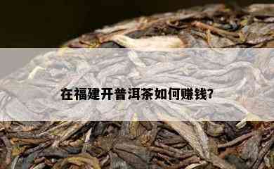 在福建开普洱茶如何赚钱？