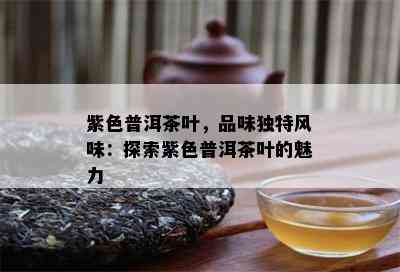 紫色普洱茶叶，品味独特风味：探索紫色普洱茶叶的魅力