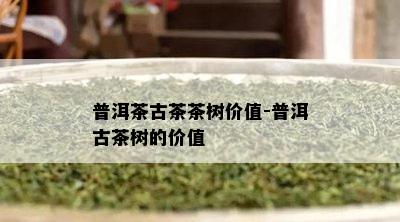 普洱茶古茶茶树价值-普洱古茶树的价值