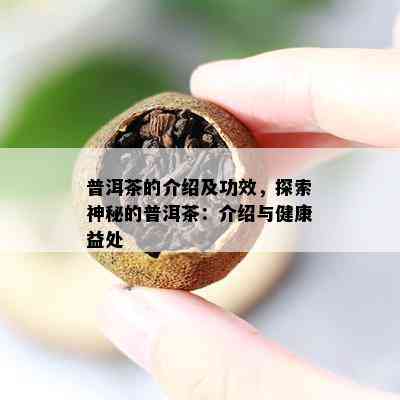 普洱茶的介绍及功效，探索神秘的普洱茶：介绍与健康益处