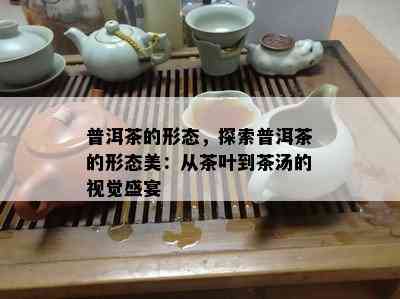 普洱茶的形态，探索普洱茶的形态美：从茶叶到茶汤的视觉盛宴