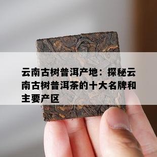 云南古树普洱产地：探秘云南古树普洱茶的十大名牌和主要产区