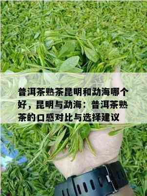 普洱茶熟茶昆明和勐海哪个好，昆明与勐海：普洱茶熟茶的口感对比与选择建议