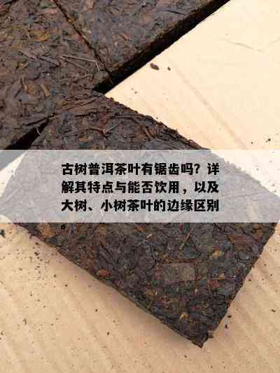 古树普洱茶叶有锯齿吗？详解其特点与能否饮用，以及大树、小树茶叶的边缘区别。