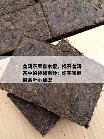 普洱茶里有木棍，揭开普洱茶中的神秘面纱：你不知道的茶叶小秘密